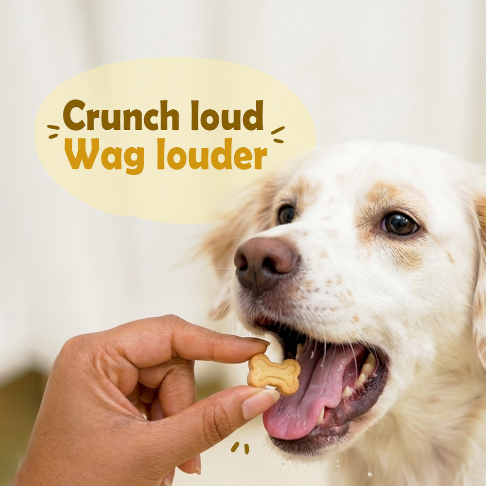 Cheese Crackers For Dogs