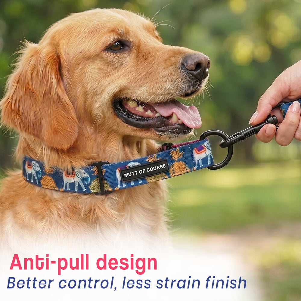 Royal Indian Elephant Martingale Collar