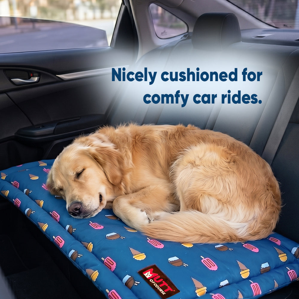 Pupsicle Mat