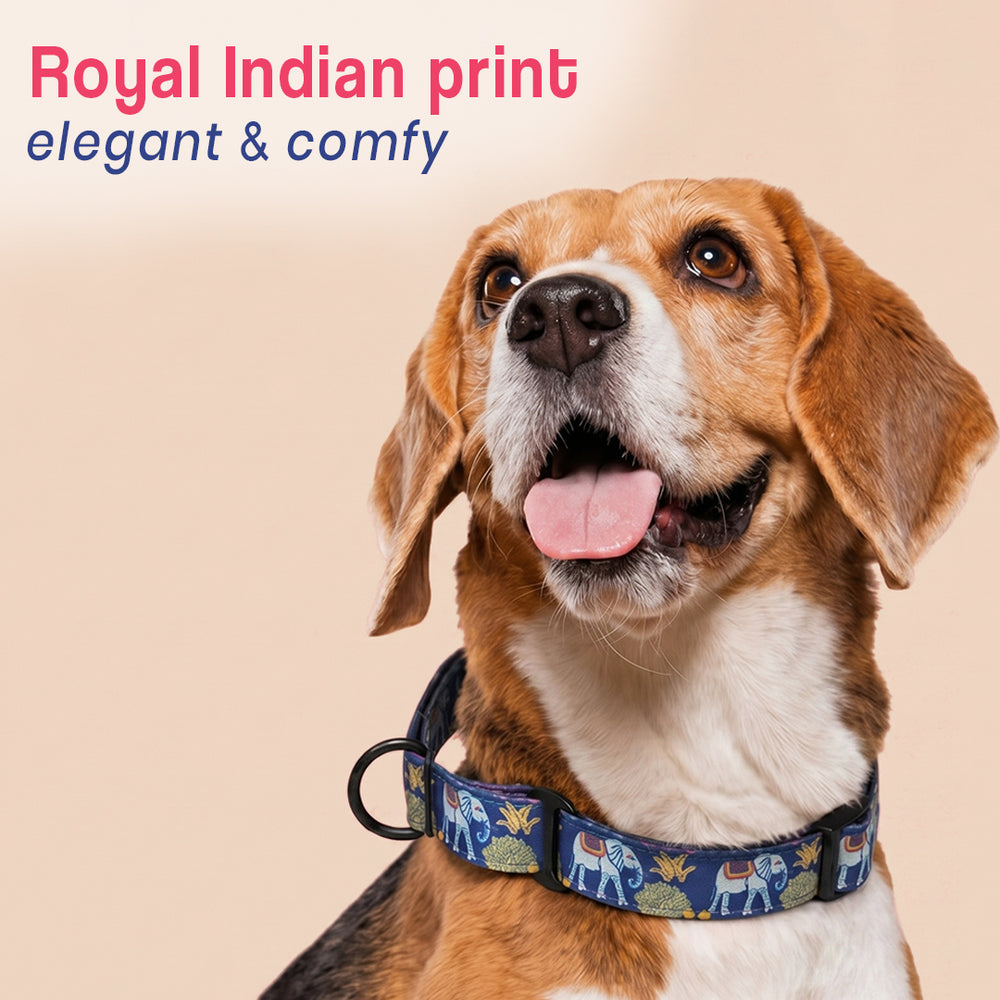 Royal Indian Elephant Martingale Collar