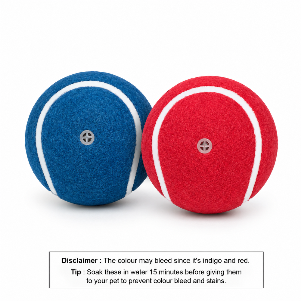 Squeaky Fetch Balls - Set of 2