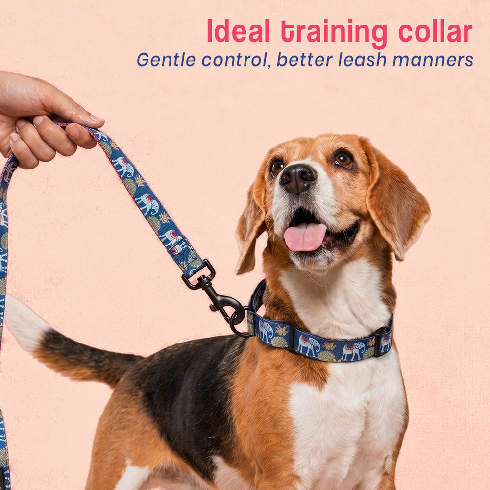 Royal Indian Elephant Martingale Collar