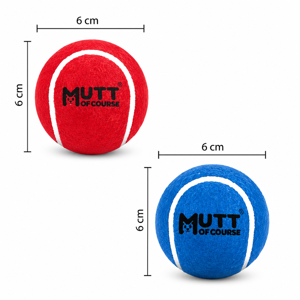 Squeaky Fetch Balls - Set of 2