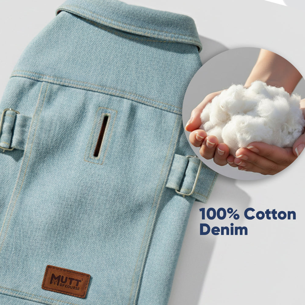 The Stud Denim Dog Jacket