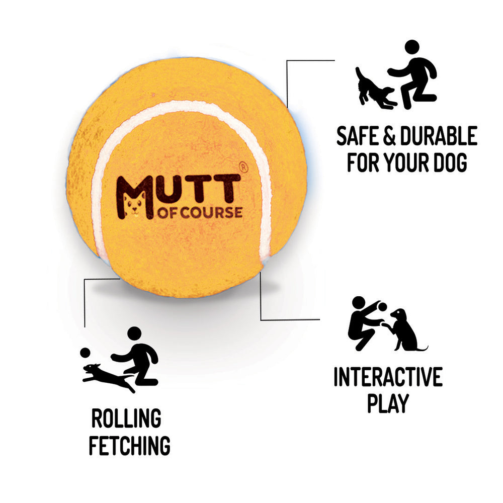 Squeaky Fetch Balls - Set of 2