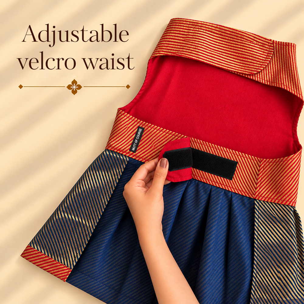 Banarasi Lehenga for Dogs – Royal Festive Wear (with cotton lining)
