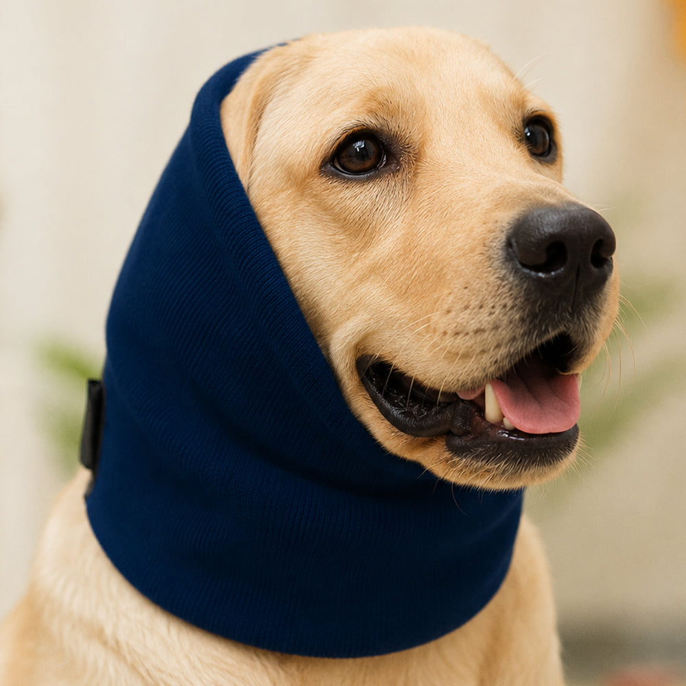 Navy Noise-Reducing Ear Muffs for Dogs & Cats – Grooming & Bathing
