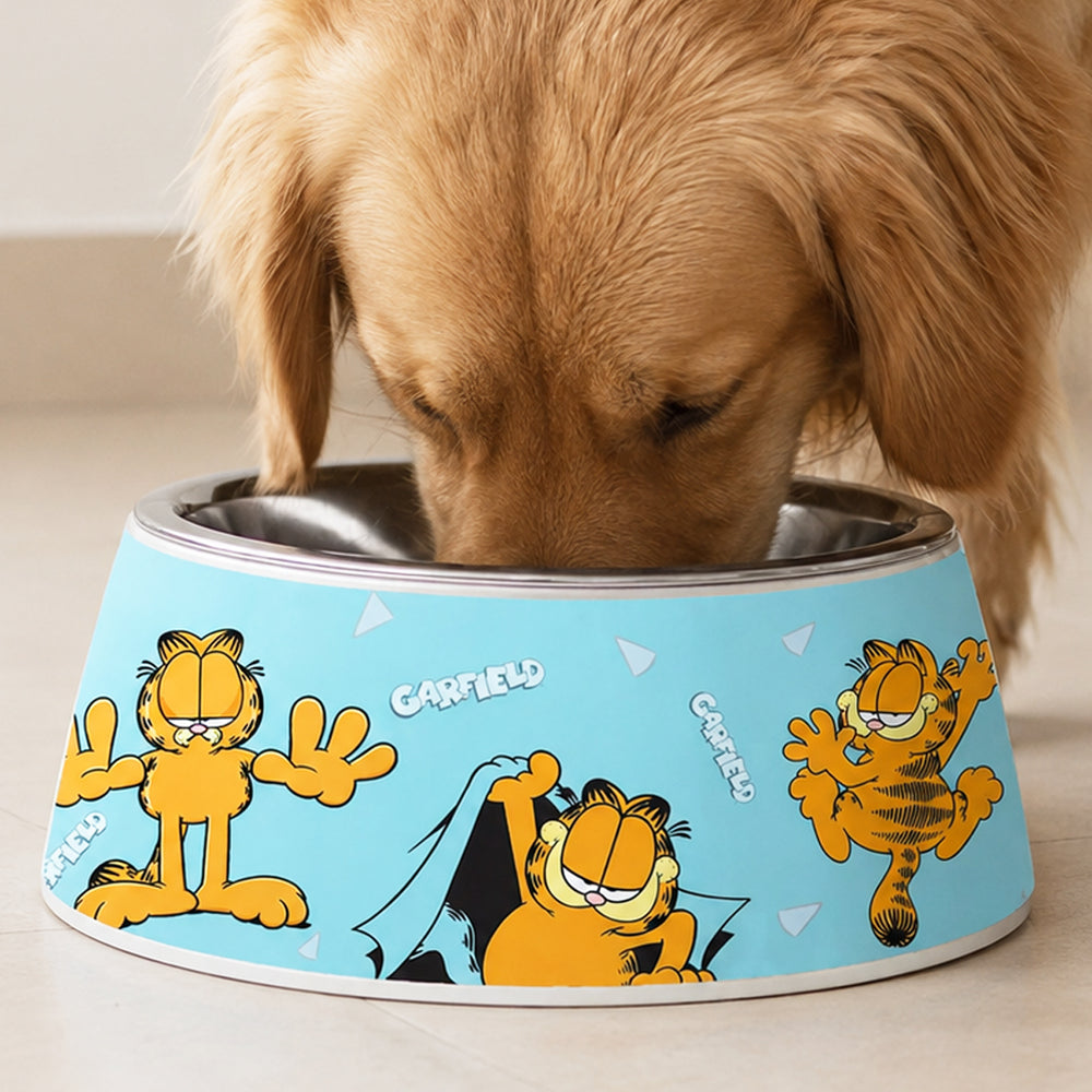 Garfield Poses Dog Bowl