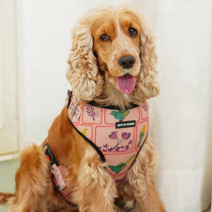 Birdie Vest Harness