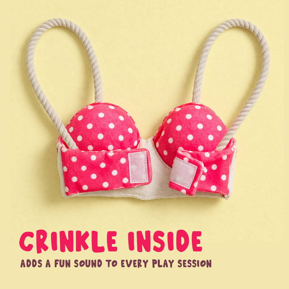 Bra Toy for Dogs