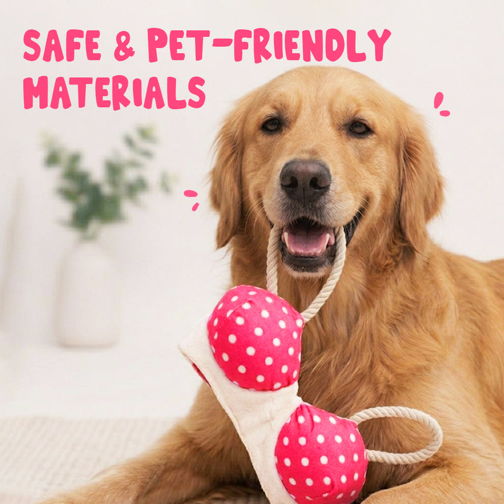 Bra Toy for Dogs