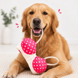 Bra Toy for Dogs
