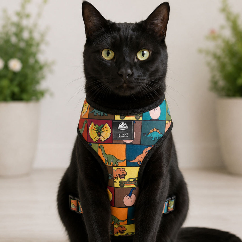 Jurassic Classic Cat Harness | Dinosaur Adventure Harness for Cats