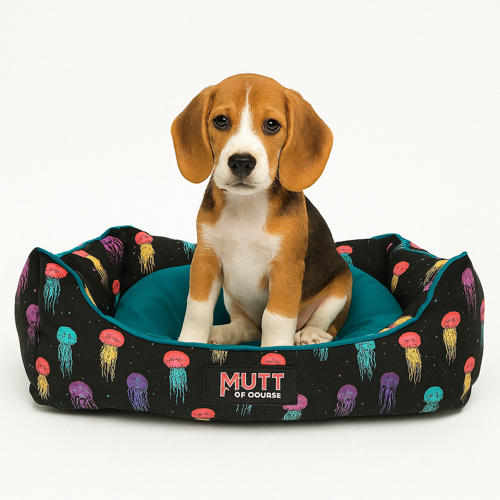 Jellyfish Lounger Bed