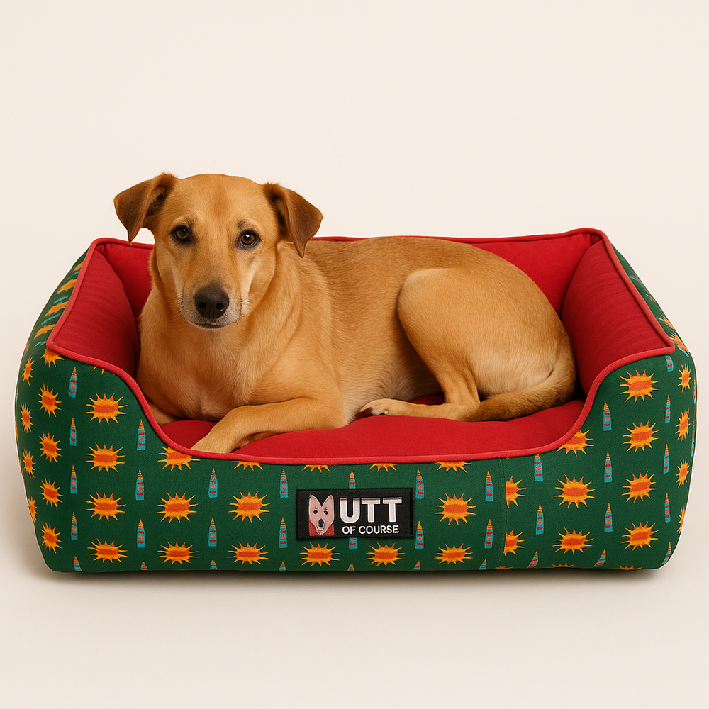 Snacc Time Lounger Bed