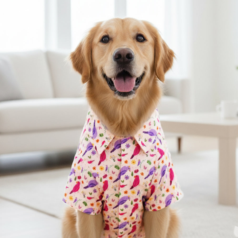 Chirpy Chirps Velcro Shirt