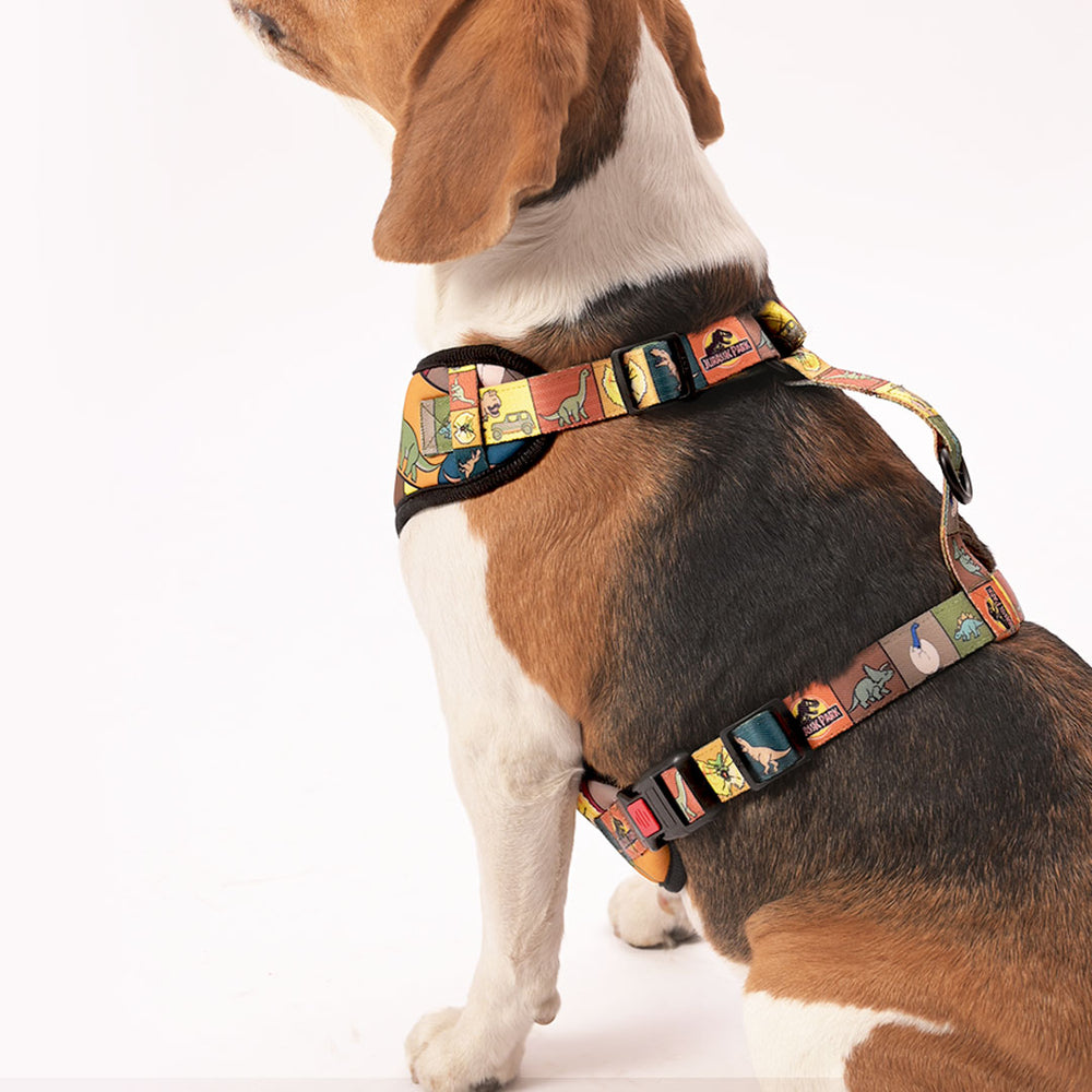 Jurassic Classic Dog Harness | Dinosaur Adventure Harness for Dogs