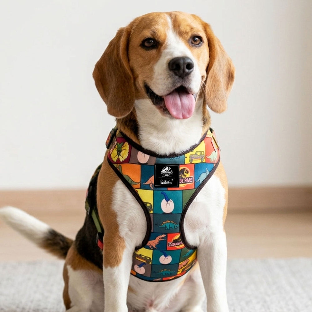 Jurassic Classic Dog Harness | Dinosaur Adventure Harness for Dogs