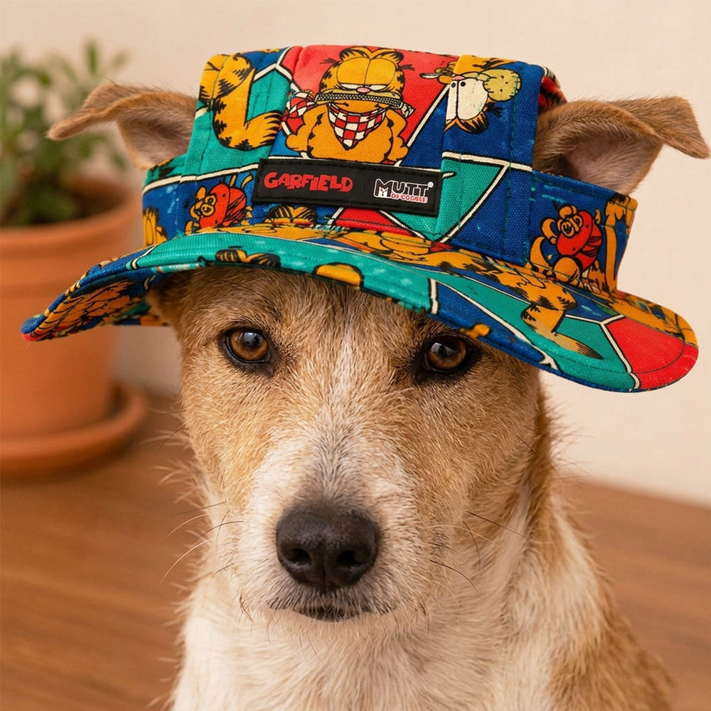 Garfield Moods Dog Hat