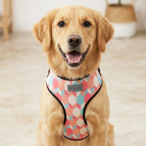 Candy Barr Vest Harness