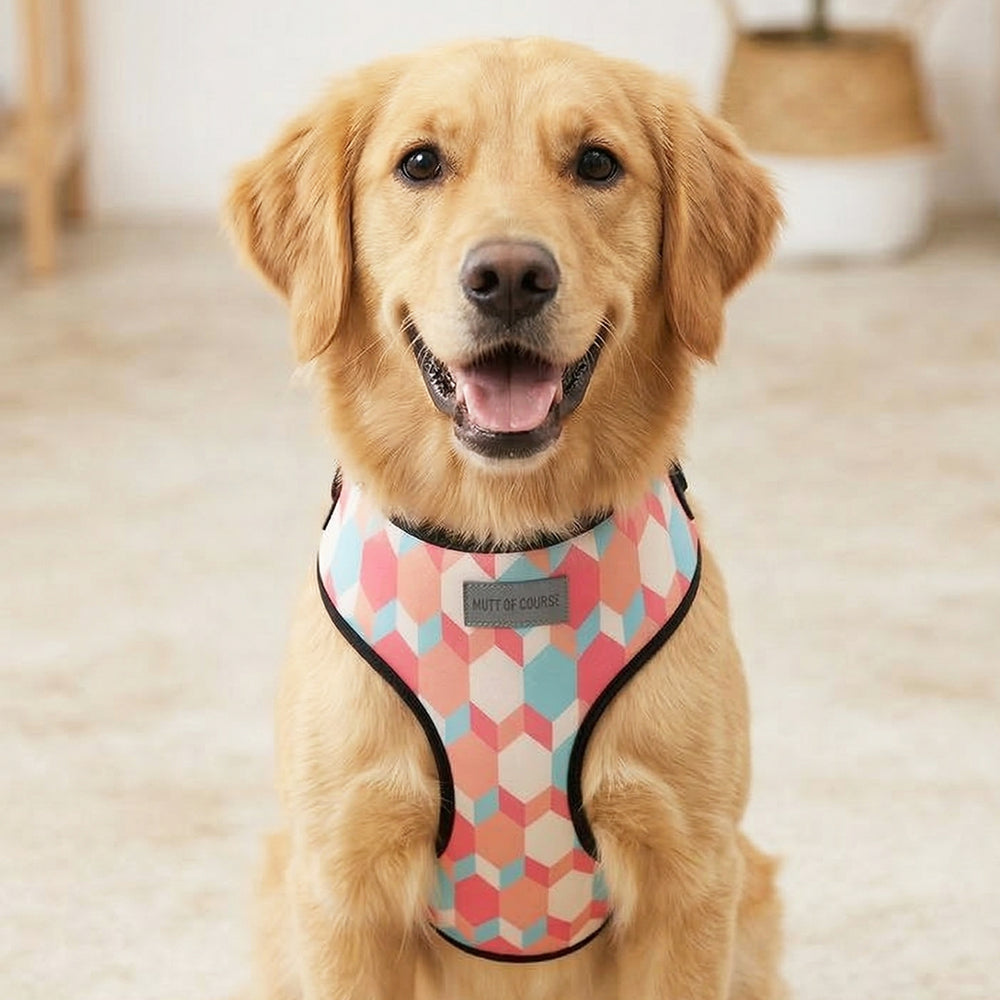 Candy Barr Vest Harness