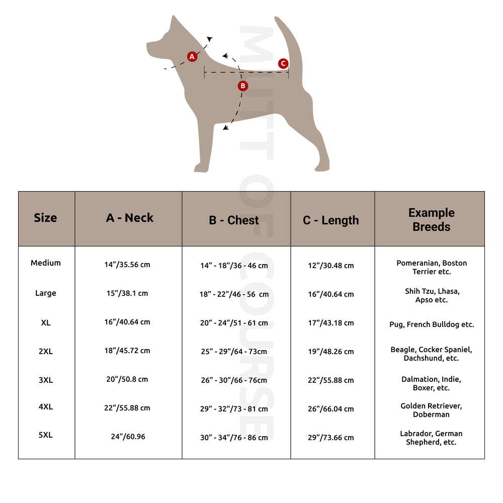 The Stud Denim Dog Jacket