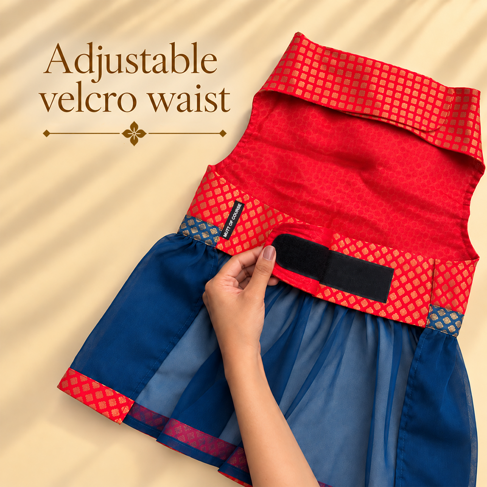 Mutt Of Course Banarasi Brocade Dog Lehenga – Festive Ethnic Wear for Dogs