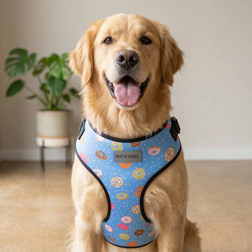 Donut Vest Harness