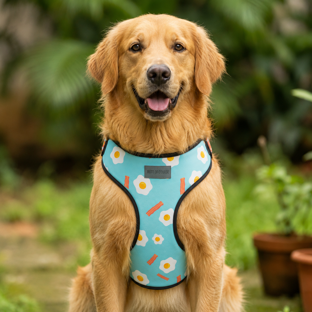 Eggs N’ Bacon Vest Harness
