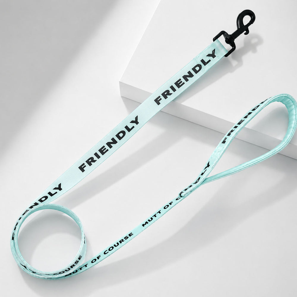 Friendly Leash