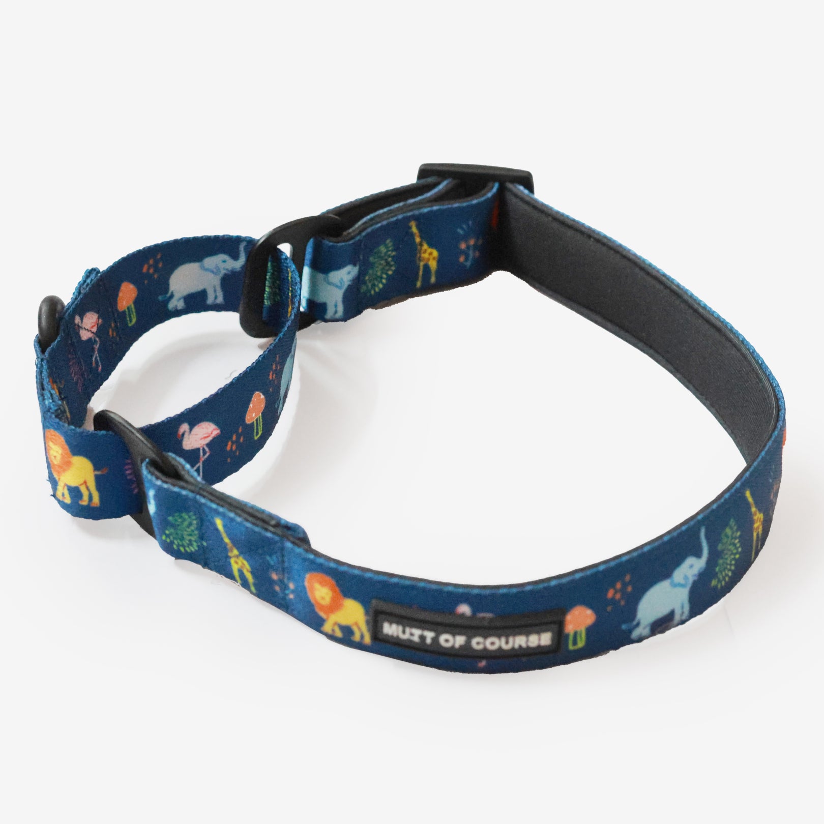 My Family Correa de Cinta de Nylon Marron para Perros