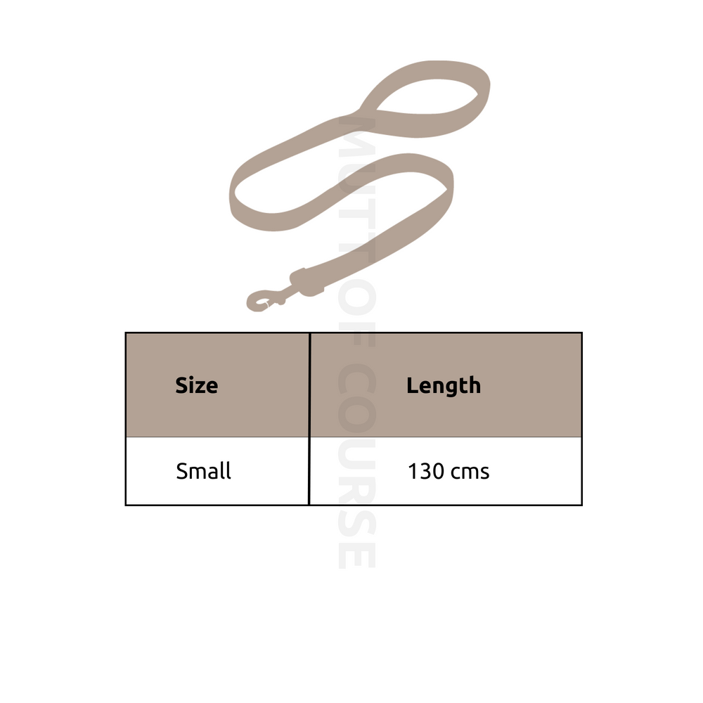 Jurassic Marine Dino Cat Leash | Ocean Dinosaur Adventure Leash for Cats