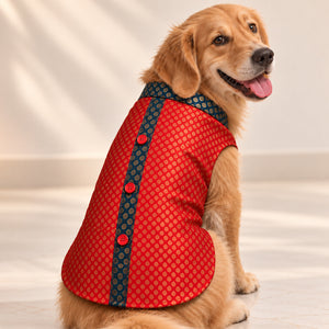 Banarasi Brocade Dog Kurta