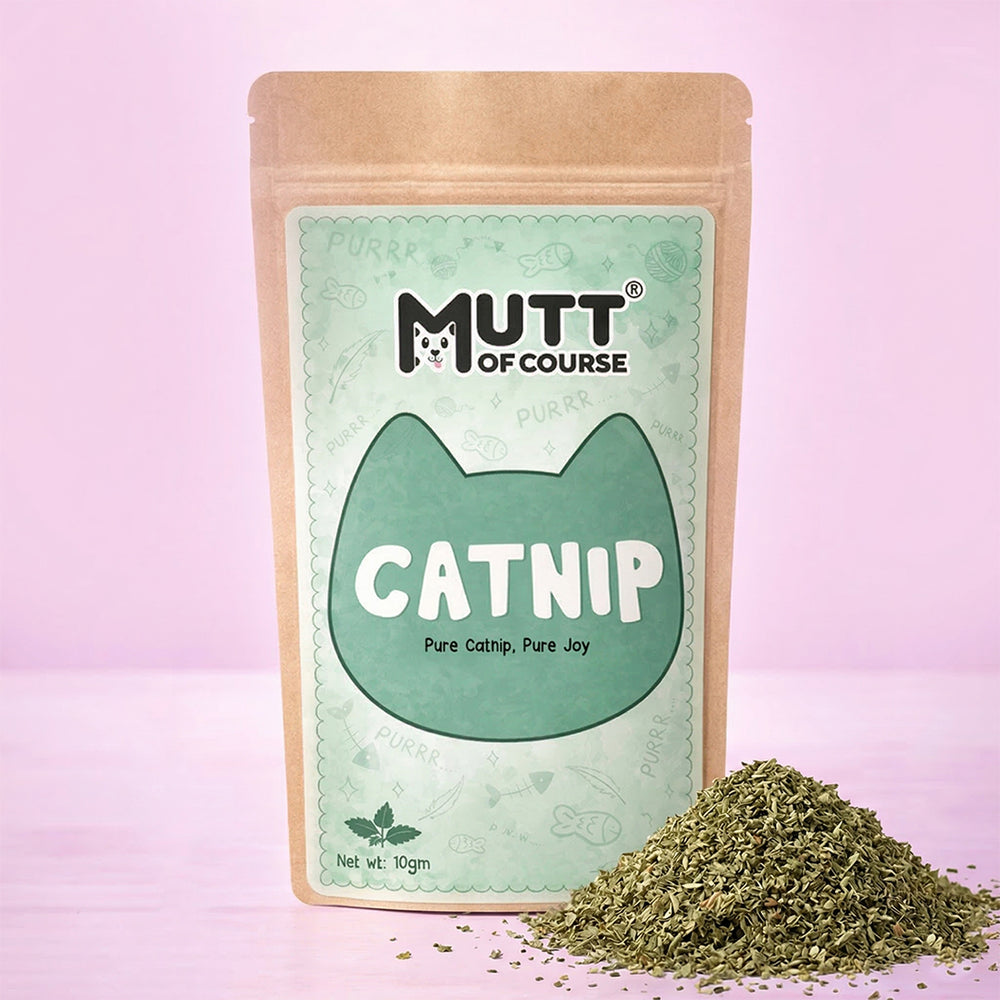 Mutt Of Course – Pure Cat nip