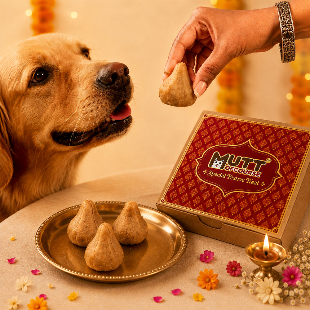 Modaks | Set of 4 in 1 box | Festive Treat for Dogs & Cats