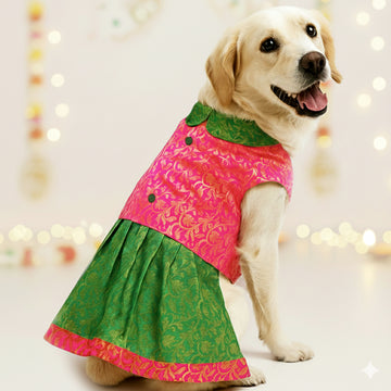 Labrador Dog And Ladies Dresses Lavender Lacey Triple Heart Bandana Collar Me Crazee Labrador Dog And Ladies Dresses Lavender Lacey Triple Heart Bandana Collar Me Crazee