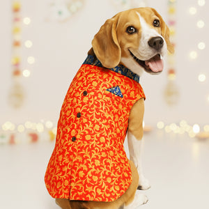 Red N' Blue Dog Sherwani & Kurta (With Cotton Lining)