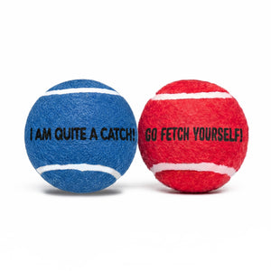 Squeaky Fetch Balls - Set of 2
