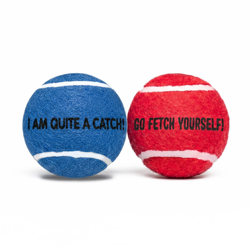 Squeaky Fetch Balls - Set of 2