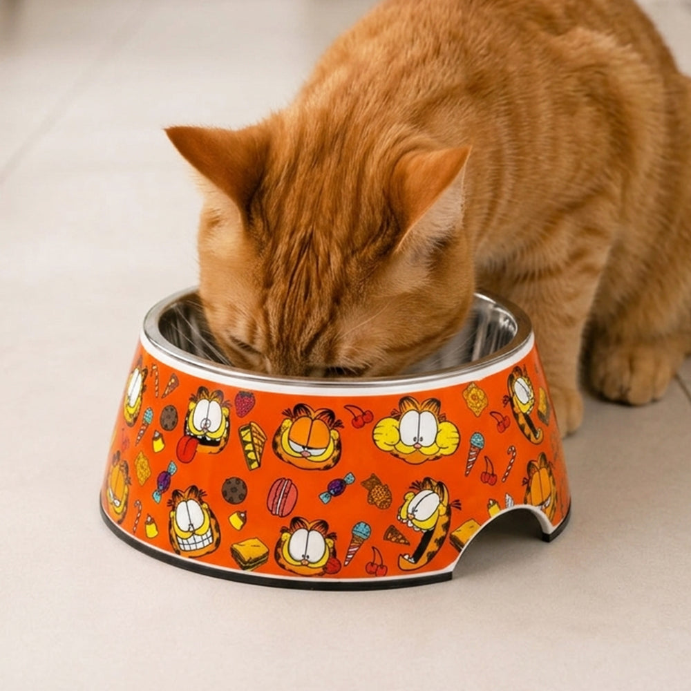 Garfield Binge Cat Bowl (XS - 210ml)