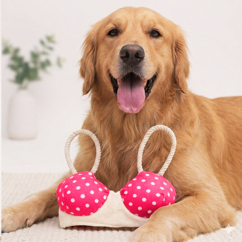 Bra Toy for Dogs