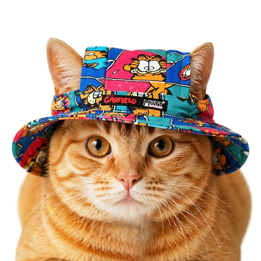 Garfield Moods Cat Hat