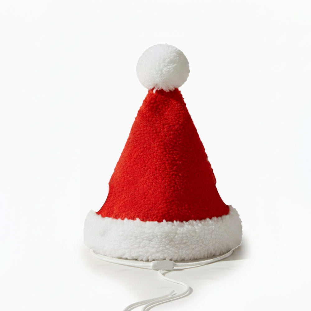 Santa Hat For Dogs