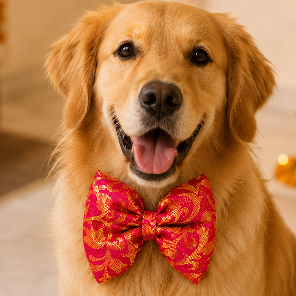 Festive Paw-Tie | Pink & Gold Dog Bow Tie | Attachment