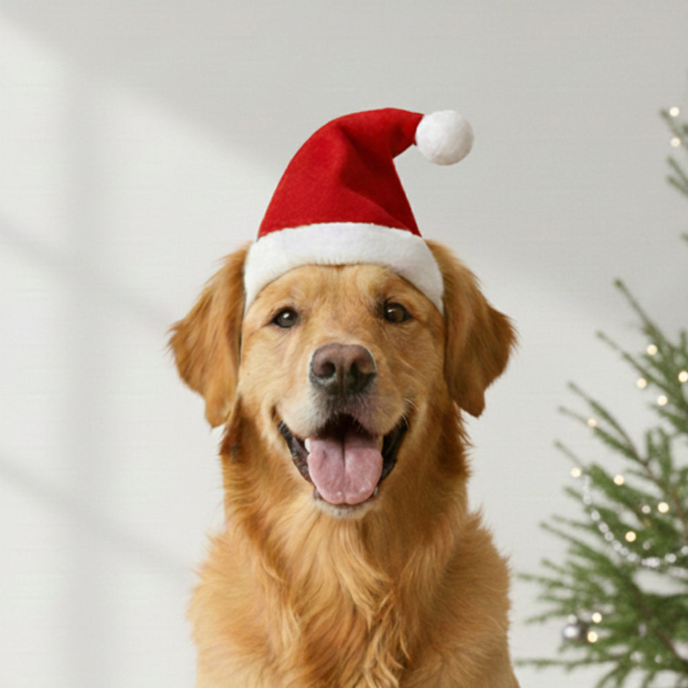 Santa Hat For Dogs