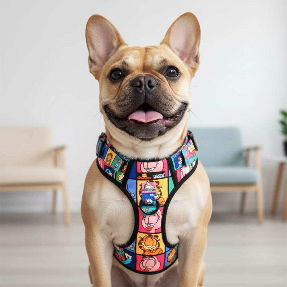 Garfield Gang Ruff N&