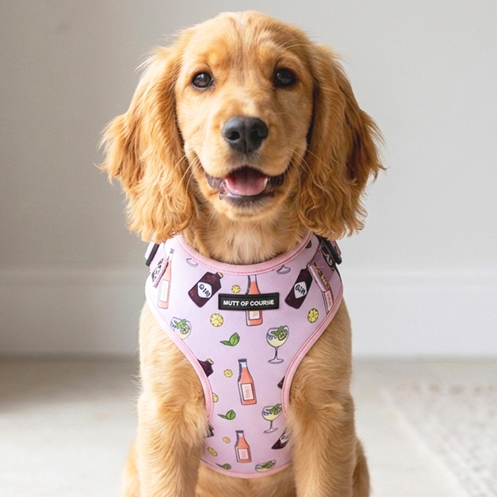 Gin and Tonic Vest Harness For Dogs