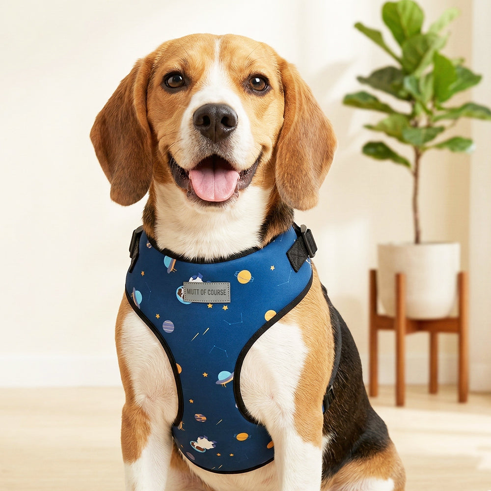 Elon Mutt Vest Harness