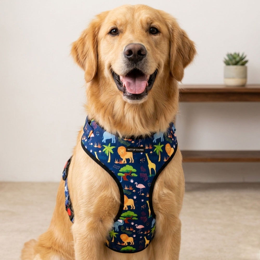 Jungle Vest Harness For Dogs