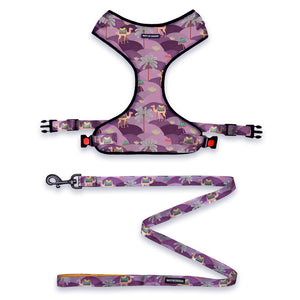 Royal Indian Camel Vest Harness + Leash Set